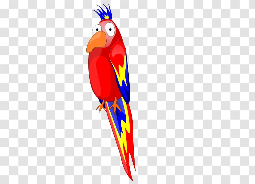 Macaw Parrot Clip Art - Beak - True Macaws Transparent PNG