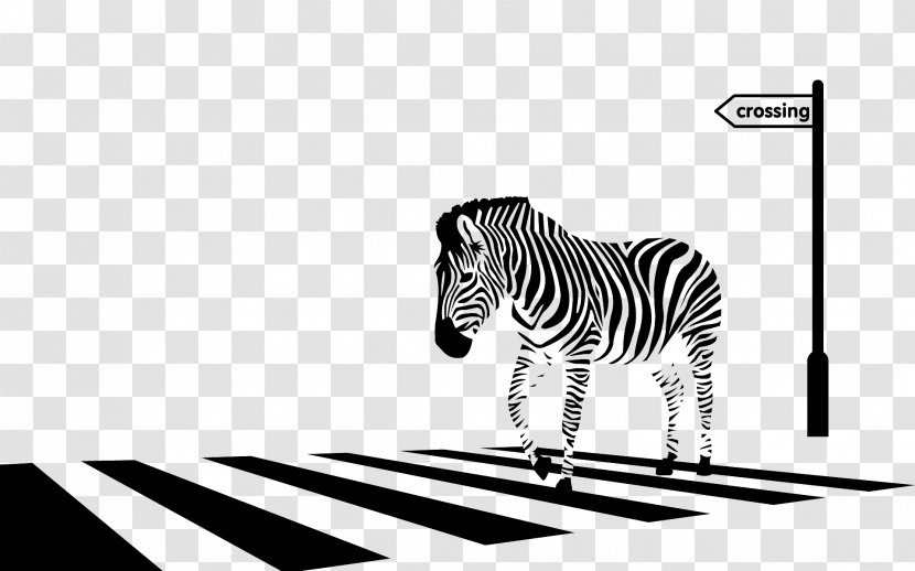 Zebra Crossing Drawing - White Transparent PNG