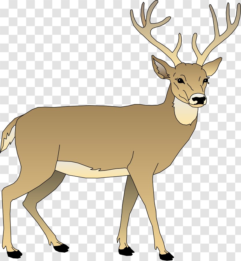 White-tailed Deer Clip Art - Antelope - Realistic Reindeer Cliparts Transparent PNG