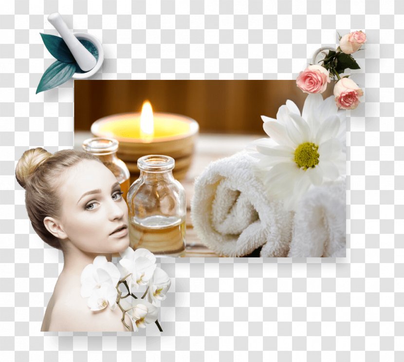 Massage Day Spa Tag Beauty Parlour - Rose Family - Treatments Transparent PNG