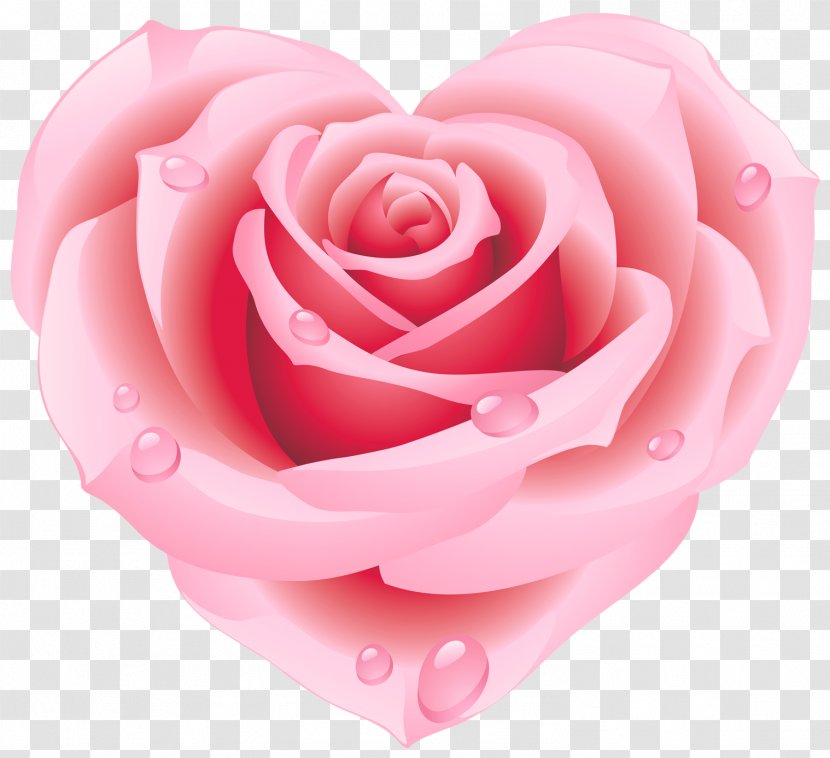 Rose Pink Heart Clip Art - Close Up - Flower Cliparts Transparent PNG