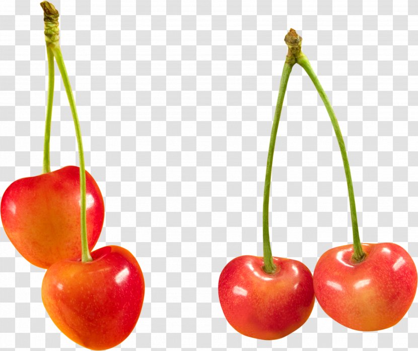 Cerasus Cherry Clip Art - Superfood - Image Transparent PNG