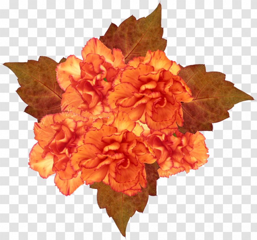 Petal Flower Clip Art - Cut Flowers - Orange Transparent PNG