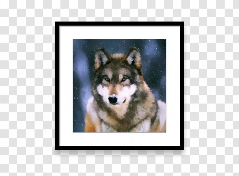 Siberian Husky Shikoku Dog Breed Allegro Snout - Bluebonnets Transparent PNG