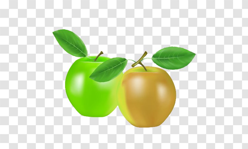 Apple Drawing - Painting - Cartoon Apples Transparent PNG