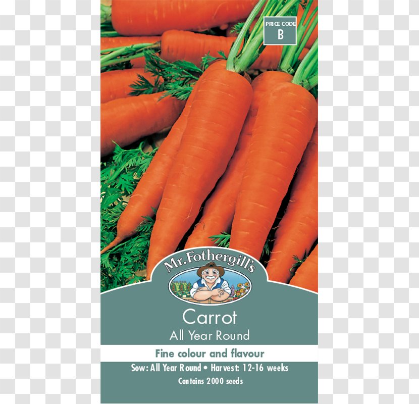 Baby Carrot Food Seed Vegetable - Foodworks Transparent PNG