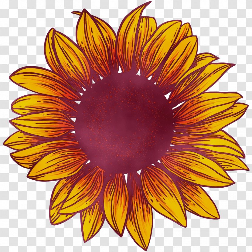 Flowers Background - Sunflower - Herbaceous Plant Asterales Transparent PNG
