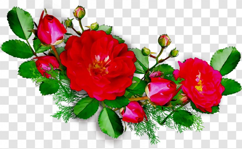Garden Roses Birthday Flower Bouquet Wish Wedding Anniversary - Red - Floral Design Transparent PNG