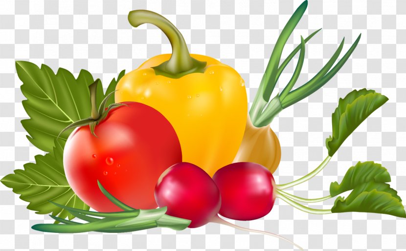 Clip Art Vegetable Fruit Vegetarian Cuisine Image - Bell Pepper Transparent PNG