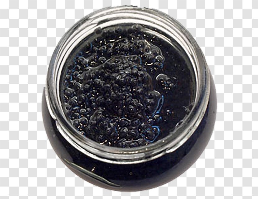 Caviar - Sturgeon Transparent PNG