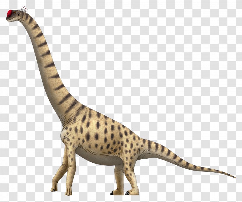 Lapparentosaurus Giraffatitan Chuxiongosaurus Brachiosaurus Apatosaurus - Drawing - Dinosaur Transparent PNG