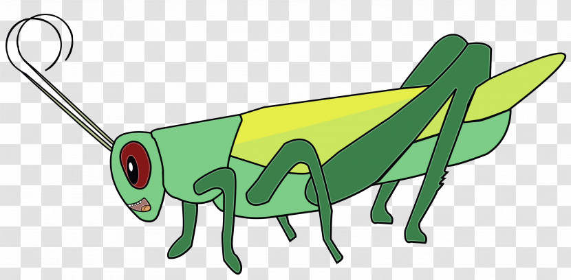 Insect Grasshopper Pollinator Green Cartoon Transparent PNG