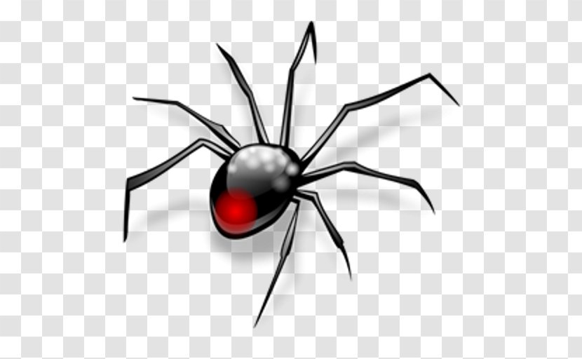 Widow Spiders Black Insect Clip Art - Arthropod - Spider Transparent PNG