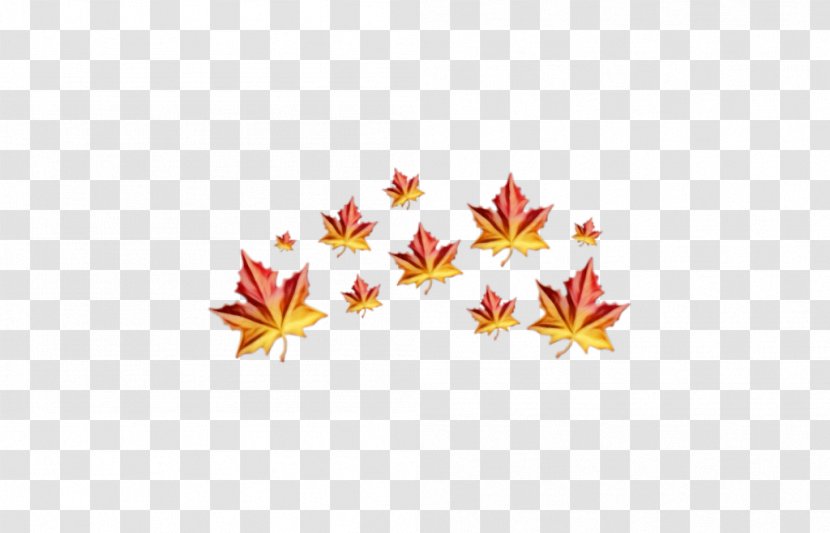 Autumn Leaf Drawing - Text - Petal Flower Transparent PNG