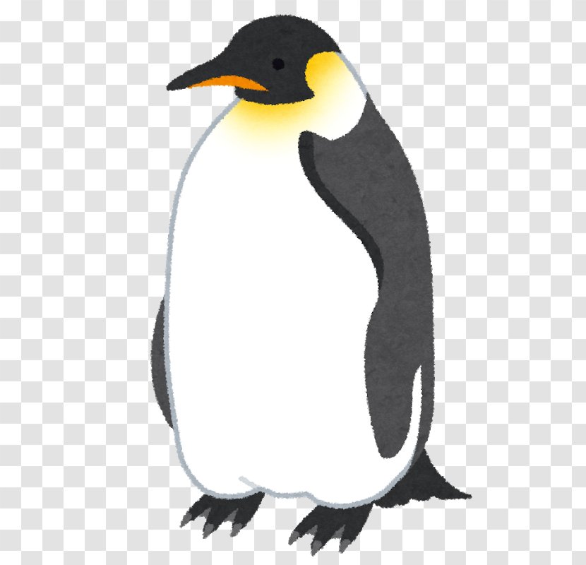 King Penguin Emperor いらすとや - Blog - Three Penguins Transparent PNG