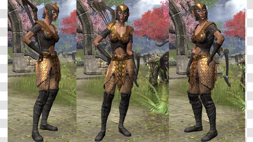 The Elder Scrolls Online Armour Combo Combination Transparent PNG