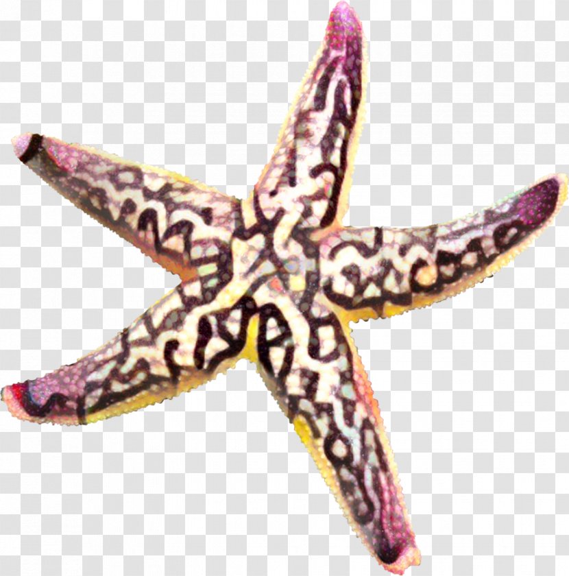 Pink Background - Starfish - Jewellery Transparent PNG