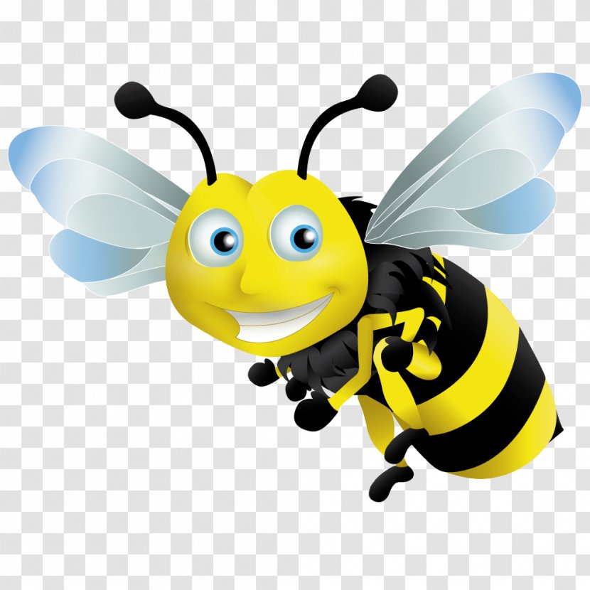 Saving Honey Bee Money Household Finance - Insect - Buzzing Transparent PNG