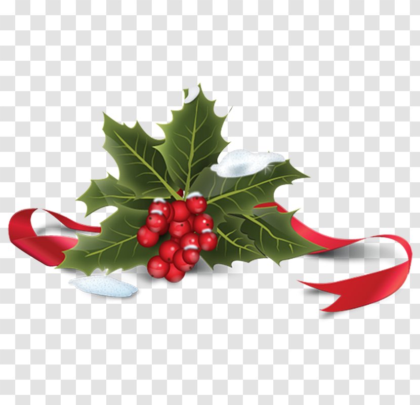Common Holly Christmas Icon - Tree - Creative Transparent PNG