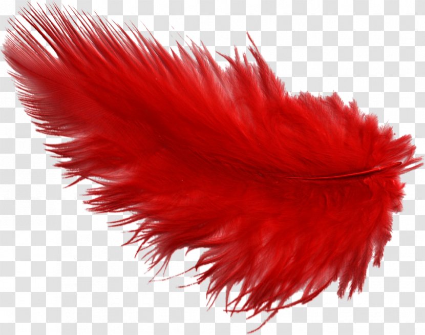 Feather Plume Dyeing Quill - Paint Transparent PNG