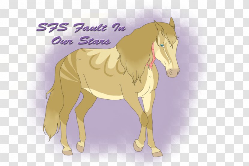 Mane Mustang Foal Colt Stallion Transparent PNG