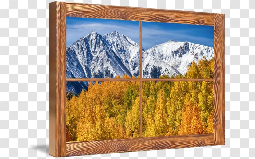 Window Larch Painting Picture Frames Nature - Landscape - Autumn Forest Transparent PNG