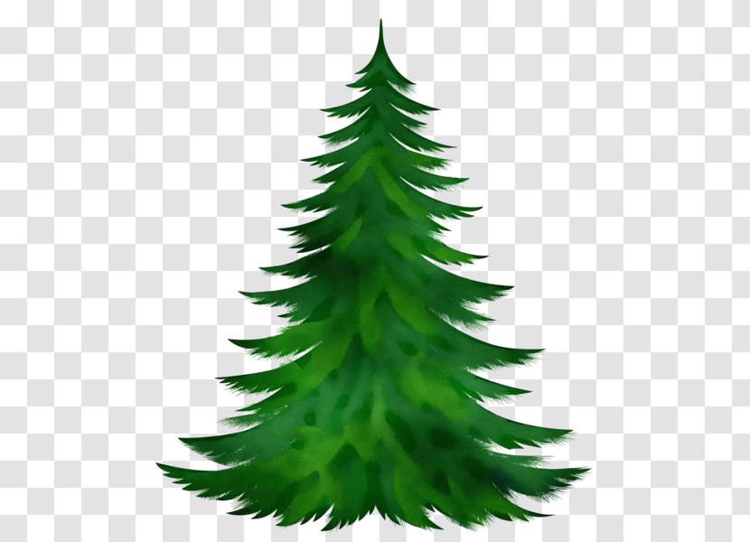 Christmas Tree - Yellow Fir - Plant Transparent PNG