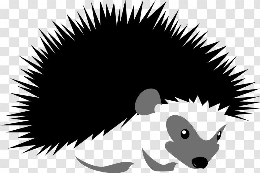 Hedgehog Stock Illustration Silhouette - Mammal - Cartoon Transparent PNG
