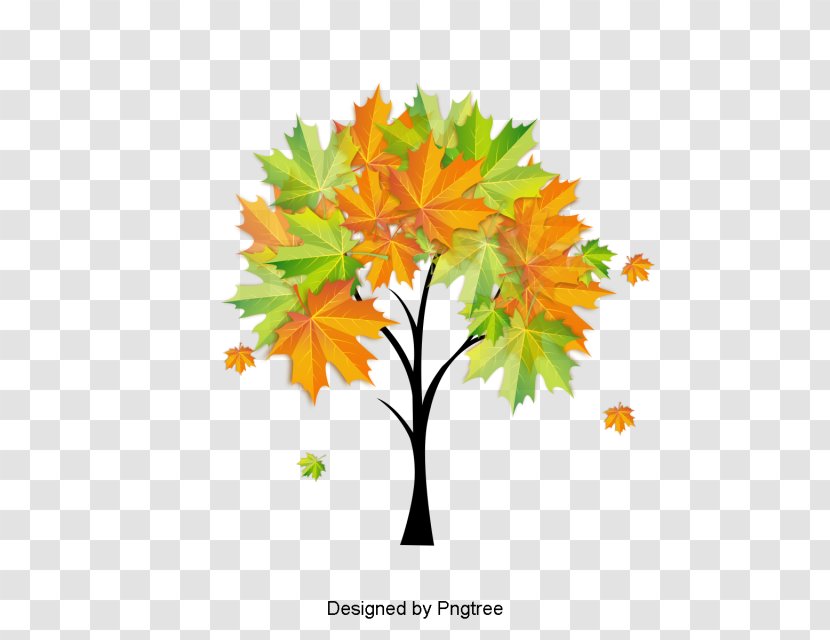 Watercolor Painting Autumn Image Download Cartoon - Black Maple Transparent PNG