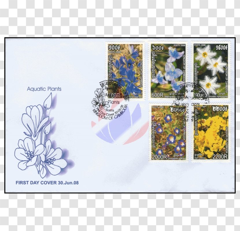 Postage Stamps Guarianthe Skinneri Floral Emblem Costa Rica - Alternanthera Reineckii Transparent PNG