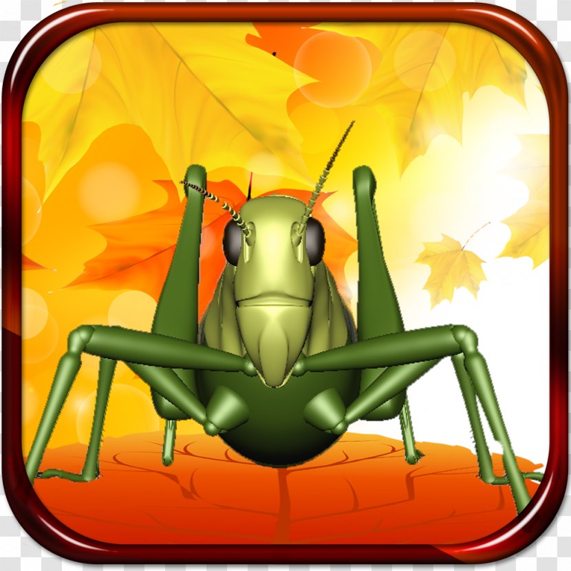 Tree Frog Cartoon Character - Animated - Lazy Grasshopper Transparent PNG