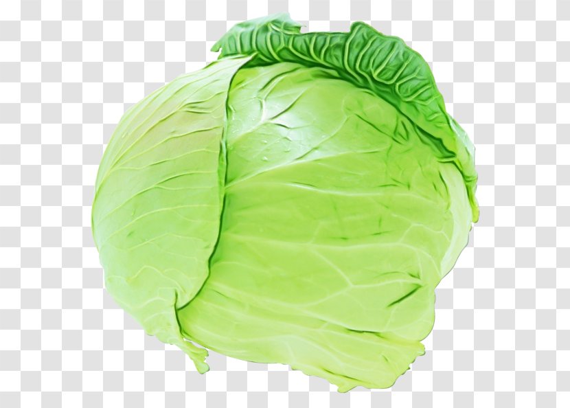 Cabbage Green Vegetable Iceburg Lettuce Leaf - Food Savoy Transparent PNG