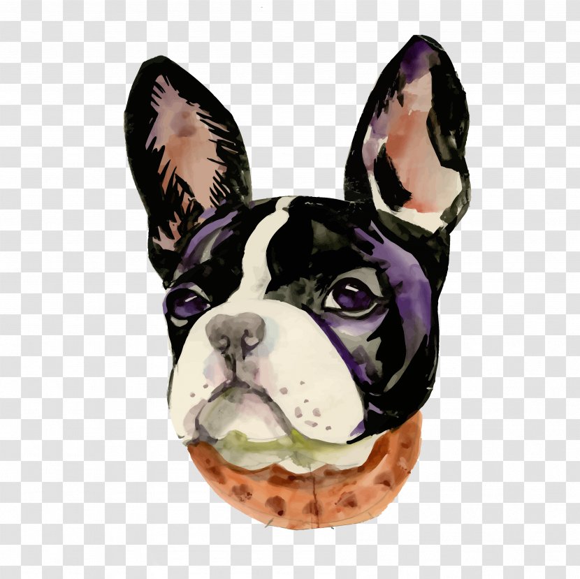 Boston Terrier French Bulldog Toy Snout - Dog - Basketball Transparent PNG