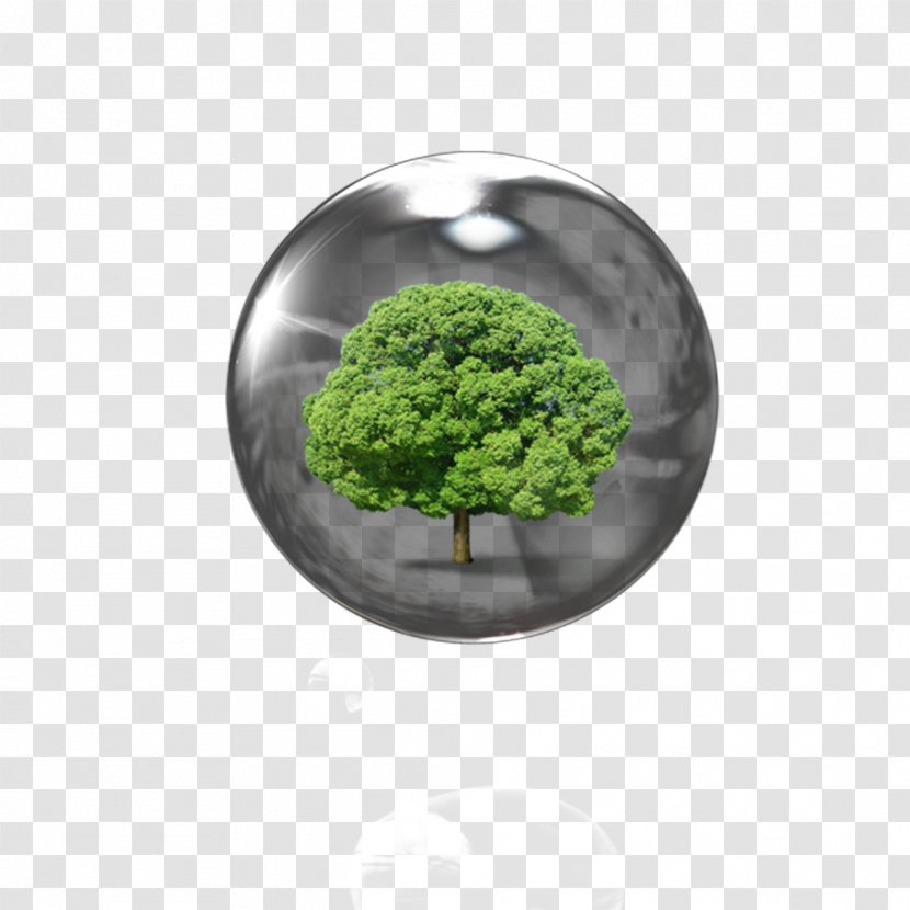 Download - Sphere - Ball In The Trees Transparent PNG