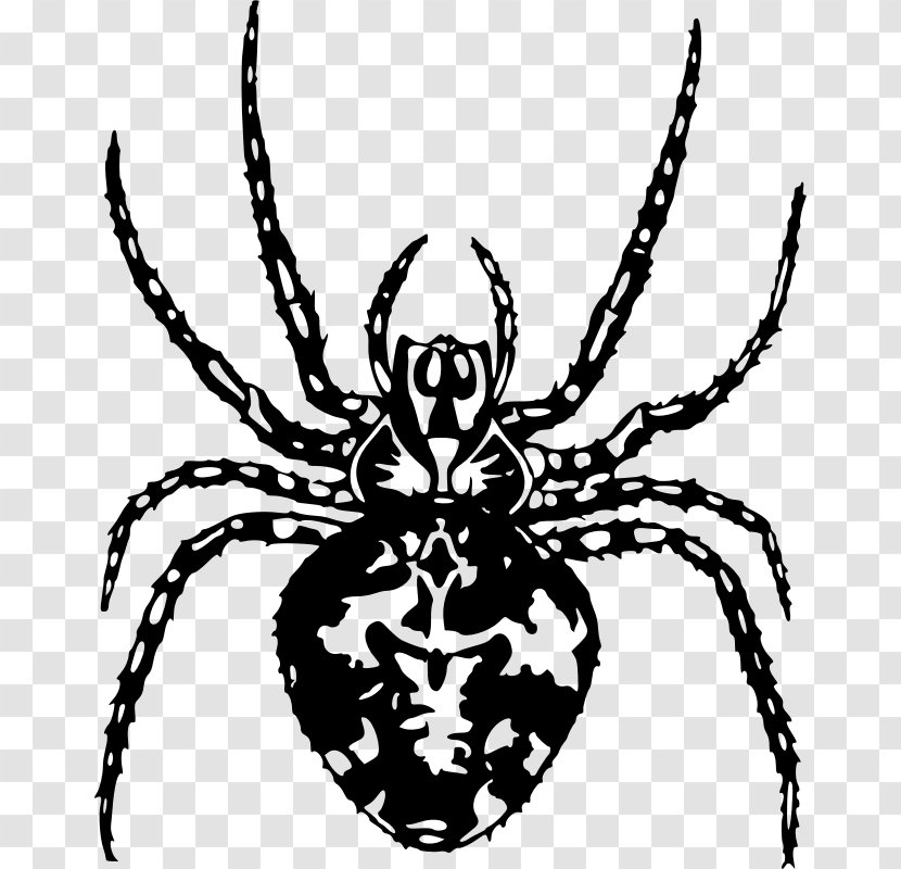 Spider Clip Art - Web Transparent PNG