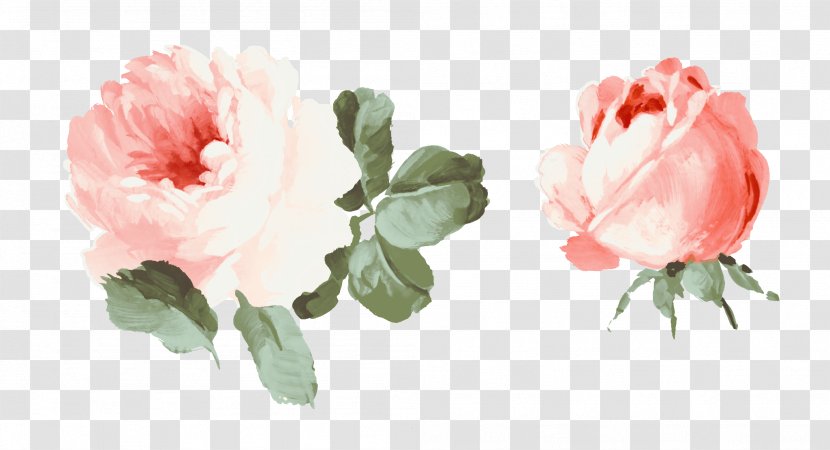 Cut Flowers Gouache Beach Rose - Watercolor Painting - Pink Roses Transparent PNG