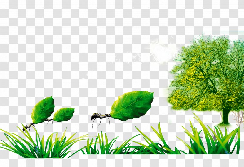 Low-carbon Economy Advertising Publicity Slogan - Sustainable Living - Green Grass Transparent PNG