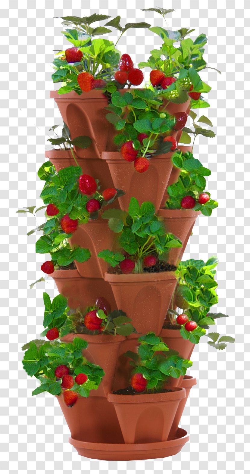 Flowerpot Strawberry Garden Food Herb - Ceramic - Pot Plant Transparent PNG