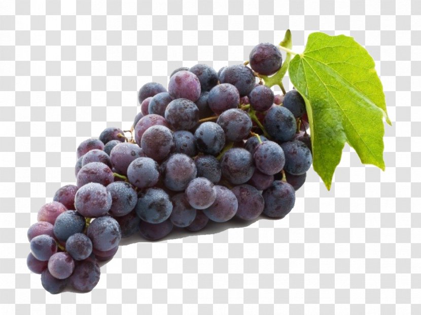 Concord Grape Common Vine Juice Wine - Prune Transparent PNG