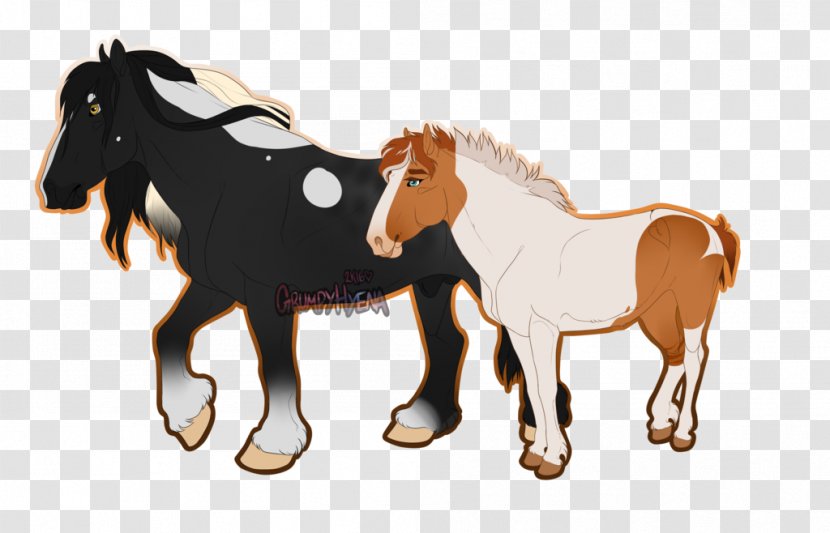 Mustang Foal Mare Stallion Halter - Horse - Grumpy Morning Transparent PNG