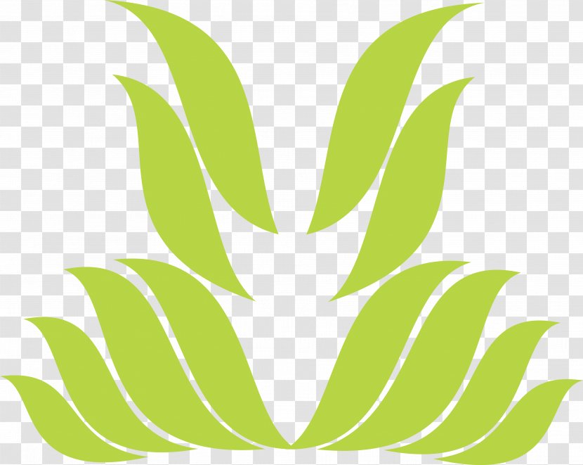 Leaf Symbol Petal Pattern - Green Transparent PNG