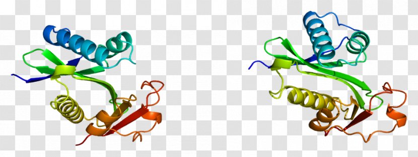 PCAF CREB-binding Protein P300-CBP Coactivator Family EP300 - Flower - Silhouette Transparent PNG