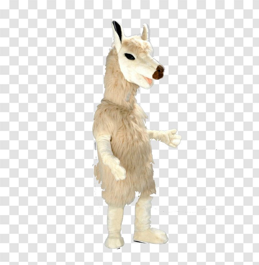 Alpaca Llama Mascot Guanaco Costume - Snout - Alpacas Transparent PNG