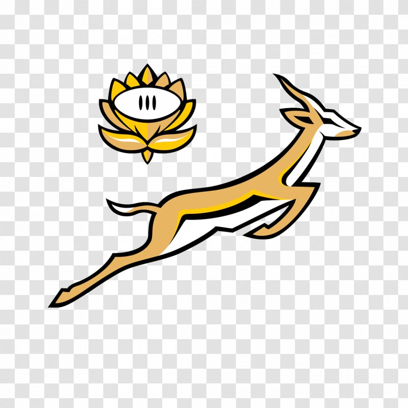South Africa National Rugby Union Team Sevens Springbok The Championship - Vertebrate Transparent PNG