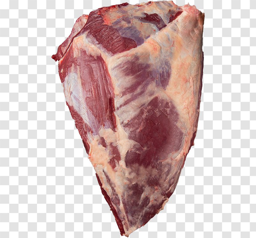 Capocollo Beef Cecina Ham Game Meat - Frame Transparent PNG