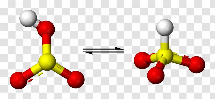 Bisulfite DNA Methylation Sulfurous Acid - Tree - Cartoon Transparent PNG