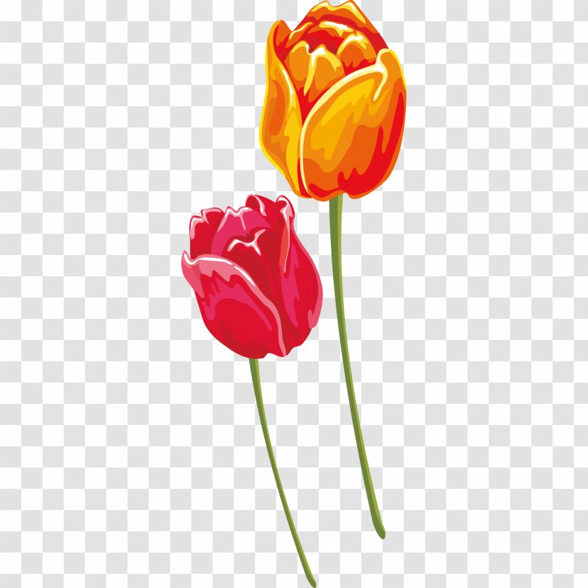 Tulip Red Yellow Euclidean Vector - Plant Stem - And Tulips Transparent PNG