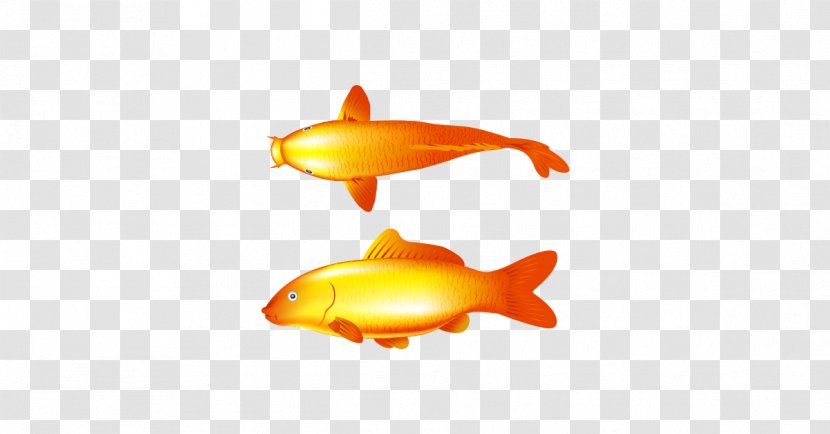 Goldfish Common Carp - Logo - Gold Fish Transparent PNG