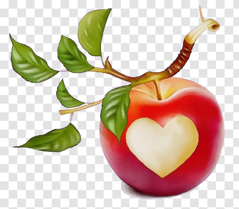 Fruit Natural Foods Plant Leaf Food - Watercolor - Heart Apple Transparent PNG