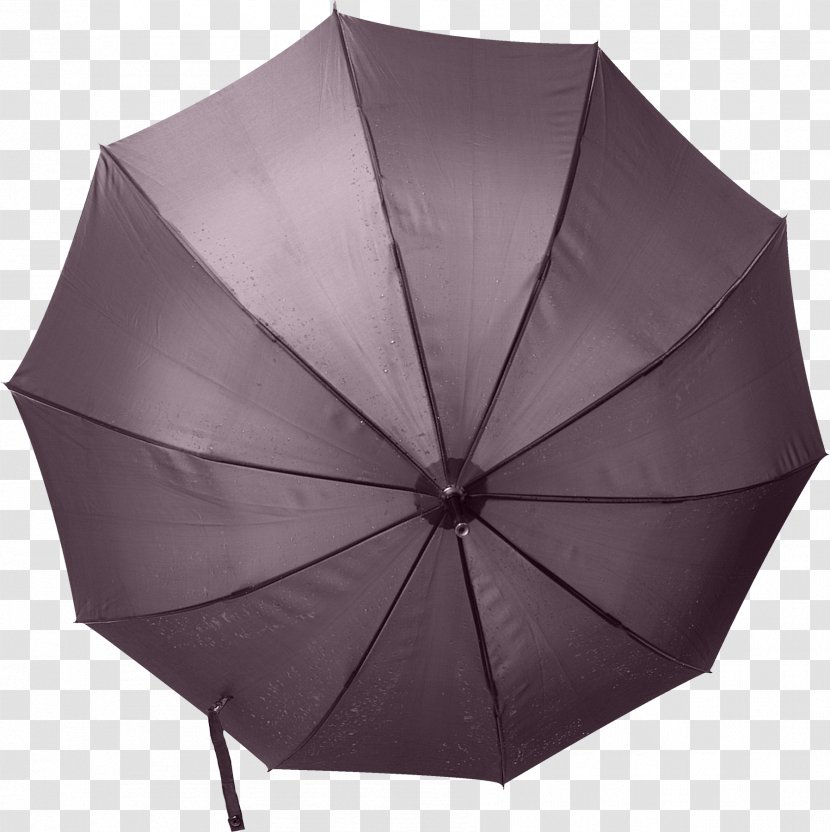 Umbrella Violet Lilac Clip Art - Tag Transparent PNG